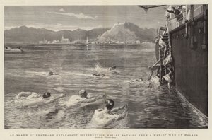 マラガでの戦士からの入浴中の不快な中断であるサメの警報